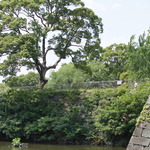 【城郭ファン必見】巨大石垣や水堀がそのまま！！徳川時代のロマン溢れる「淀城跡」