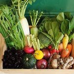 今年も感謝祭開催！西院・リノホテル京都「リノのカーニバル」で新鮮野菜やフルーツをお得にGET【10/1】