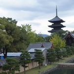 京都のシンボル！紅葉や桜の名所としても人気！一度は行きたい世界遺産「東寺（教王護国寺）」