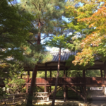 【最新】リアルな京都紅葉情報！グラデーション始まる！！境内であぶり餅や湯豆腐も食べられる☆「清凉寺」【嵯峨嵐山】