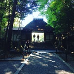 【最新】タイムリーな京都紅葉情報！砂絵も紅葉バージョンに！！鹿ヶ谷「法然院」