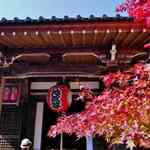 まさに見頃！修学院にある紅葉の名所「赤山禅院（せきざんぜんいん）」