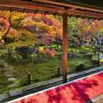 撮影スポット多数の一乗寺にある紅葉の名所！徳川家康が起源の「圓光寺（えんこうじ）」