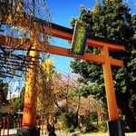 【京都北野】京の名水パワースポットめぐり！桜の名所は名水の名所でもあり☆「平野神社」