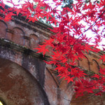 紅葉の名所「南禅寺」の紅葉が見頃に！！境内が赤と黄色で華やかに彩られています☆