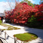真っ赤な紅葉白砂、緑の苔のコントラストが素晴らしい！何度行っても魅了される美しいお庭「南禅寺の塔頭、天授庵」