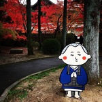 京都市内の喧騒を離れた穴場絶景紅葉スポット！とんち名人一休禅師ゆかりのお寺☆「一休寺（酬恩庵）」【京田辺】