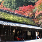 愛宕山ふもと「鮎茶屋 平野屋」今が見頃の紅葉を愛でながらいっぷくを【茶屋】