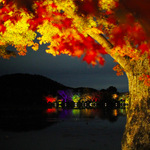 大覚寺が紡ぐ幻想的な世界！夜間特別拝観「真紅の水鏡」12/4まで開催中