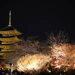 照らされた五重塔と水鏡はまるで鏡の世界！「世界遺産 東寺（教王護国寺）」【360度画像あり】