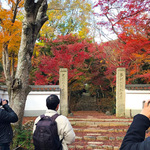 「インスタグラマーと行く紅葉撮影ツアー＠浄住寺」で知った素敵なお寺の風景【イベント】
