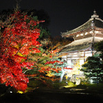 見事な借景庭園に紅葉！お茶菓子とともに静寂なひとときを「鹿王院・夜間特別拝観」【12/10まで】