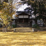 銀杏に覆われてまるで絨毯のように！ウラマヨでも紹介された穴場の「三栖神社」