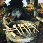 【京都名水めぐり】お酒の神様・松尾大社の名水！日本酒の仕込水にも使われる霊泉「亀の井」
