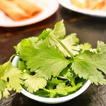 今年の一皿「パクチー」が満喫できる！屋台感覚で楽しめるお店！！☆四条パクチー☆
