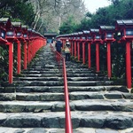 【京都貴船】京都の水を司る神様に初詣！名物の水占みくじは絶対引くべき！！「貴船神社本宮」