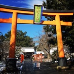 春が待ち遠しい！猛烈寒波で雪化粧の京都桜の名所！！「平野神社」【北野白梅町】
