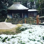 京都お忍び観光スポット！雪化粧の白砂壇の砂絵はチョコレート柄！？「法然院」【京都鹿ヶ谷】