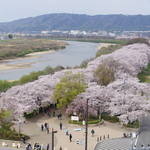 京都屈指の桜の名所・背割提を一望できる展望台が完成！「さくらであい館」