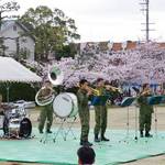 【4月1,2日】桂・宇治・大久保駐屯地 桜まつり開催！入場無料で楽しめます【陸上自衛隊】