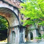 【京都南禅寺】早くも桜から新緑へ！水路閣の青モミジが眩しい！！早朝にマイナスイオンチャージ☆