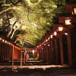 初夏の艶やかに光り輝く特別なひととき！「貴船神社の新緑ライトアップ」