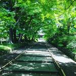 【京都山科】新発見！紅葉絶景スポットは新緑の青もみじの名所でもあり☆「毘沙門堂」
