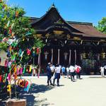 【京都北野】全国天満宮の総本社！御土居の青もみじ絶賛公開中！！早くも七夕笹飾り登場☆「北野天満宮」