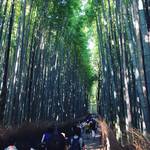 【京都嵐山】世界にとどろく京都随一の観光スポット！初夏の嵐山は竹林清涼シャワーが心地いい☆