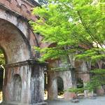 【保存版】京都オススメの癒やされる新緑スポット！紅葉の名所は新緑の絶景スポットでもあり【厳選８ヵ所】