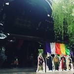 【聖地巡礼】絶賛公開中の映画『花戦さ』ゆかりの地・六角堂（頂法寺）に行ってきました！【烏丸六角】