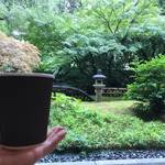 【南禅寺】「kokoka 」日本庭園と 落ち着きすぎるフリースペース《京都国際交流会館》