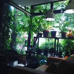 【京都カフェ】鬱蒼とした緑の奥にはさらに苔リウムの緑！時間を忘れる癒やしオーガニックランチ☆「モール」【京都市役所スグ】