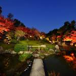 「妙心寺退蔵院」秋のお食事付き特別拝観2017