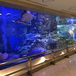 親子で楽しめるコンパクトな水族館！日本最大級のタッチングプールあり！「丹後魚っ知館（うおっちかん）」