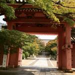 【2017最新】リアルな京都直近紅葉情報！市内でも進行早めスポット☆「真如堂」