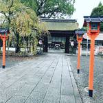 【2017京都紅葉最新】桜の神社のみどころは大銀杏の紅葉！これからが本番☆「平野神社」【北野】