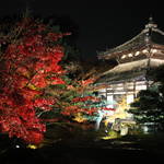【京都 紅葉の名所】「めぐるたび新しい京都  鹿王院 夜間特別拝観」事前申込による受付が始まっています【ライトアップ】