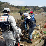 【ボランティア緊急募集】舞鶴・綾部にて台風21号被害の復旧支援のお手伝いを【災害支援】