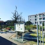 【京都薬科大学】キャンパス見学！漢方薬や医薬品の基となるマニアック薬用植物が300種類☆「薬用植物園御陵園」【山科】