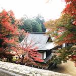 【2017京都紅葉最新】ピーク間近！京都市内最も早い紅葉の名所！！ハイキング感覚でもみじ狩り☆高雄山「神護寺」