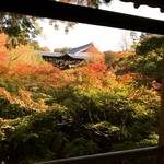 【2017京都紅葉最新】大本命の絶景スポット！紅葉グラデーション始まってます！！激混み前にチェック☆「東福寺」
