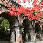 【2017京都紅葉最新】東山の人気紅葉名所！三門まわりは見頃！！今週からライトアップも始まります☆「南禅寺」