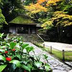 【2017京都紅葉最新】静かに紅葉を愛でるならココ！谷崎潤一郎ゆかりのお寺☆「法然院」【鹿ケ谷】