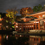 【京都の紅葉ライトアップ】闇夜に浮かぶ"鳳凰堂"と紅葉の競演、世界遺産 『平等院』