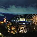 【2019年 京都の紅葉ライトアップ】圧巻の絶景！世界に誇る紅葉スポット『清水寺』