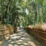 世界中が魅了される京都随一の観光地「嵐山」必ず訪れたい癒しスポット７選！