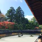 【2017京都紅葉最新】世界遺産！有名すぎる枯山水の石庭を彩る紅葉の借景☆「龍安寺」