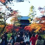 【2017京都紅葉最新】黄昏時の輝く紅葉！人気紅葉スポット南禅寺周辺をぶらり☆