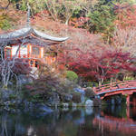 豊臣秀吉も愛した京都・伏見にある紅葉の名所！世界遺産「総本山 醍醐寺」